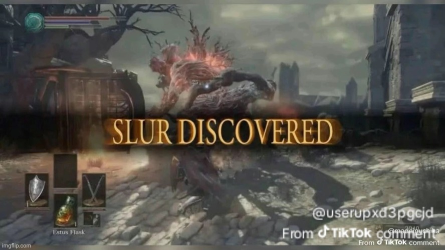 Slur discovered | image tagged in slur discovered | made w/ Imgflip meme maker
