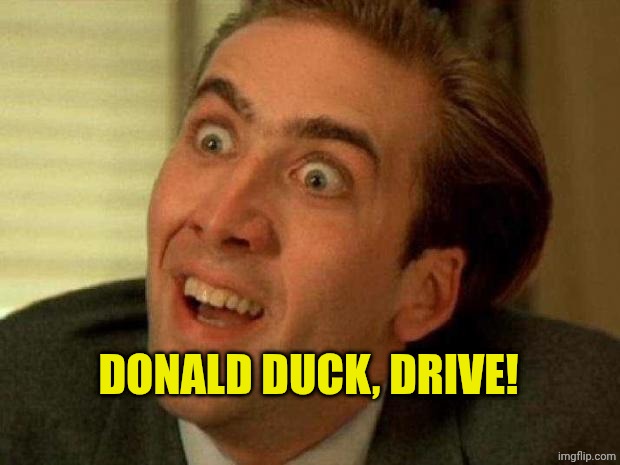 Nicolas cage | Donald duck, drive! | image tagged in nicolas cage | made w/ Imgflip meme maker