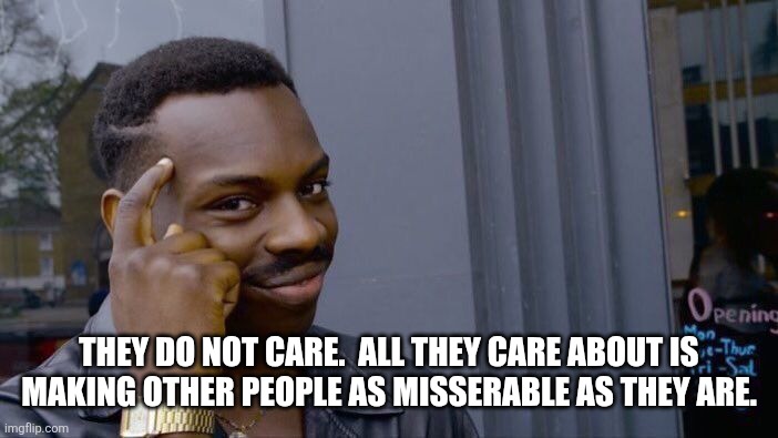 Roll Safe Think About It Meme | They do not care.  All they care about is making other people as misserable as they are. | image tagged in memes,roll safe think about it | made w/ Imgflip meme maker