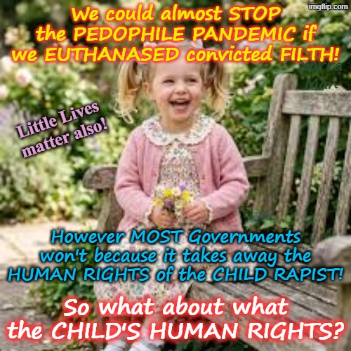 Kinda sad how most Governments care more about the HUMAN RIGHTS of PEDOPHILE FILTH than their VICTIMS! | We could almost STOP the PEDOPHILE PANDEMIC if we EUTHANASED convicted FILTH! Yarra Man; Little Lives matter also! However MOST Governments won't because it takes away the HUMAN RIGHTS of the CHILD RAPIST! So what about what the CHILD'S HUMAN RIGHTS? | image tagged in self gratification by proxy,virtue signalling woke,priests politicians,magistrates judges hollywood,australia uik eiu,rotherham | made w/ Imgflip meme maker