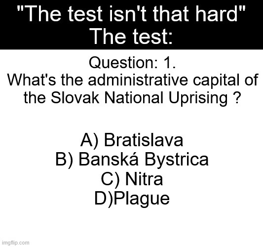 Bro your cooked at that test ? | image tagged in ww2,history memes,relatable memes,slovakia,exams,school memes | made w/ Imgflip meme maker