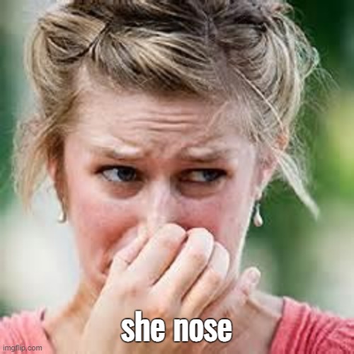 smelly | she nose | image tagged in smelly | made w/ Imgflip meme maker