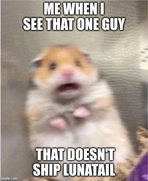 Scared Hamster | me when I see that one guy; that doesn't ship Lunatail | image tagged in scared hamster,wof | made w/ Imgflip meme maker