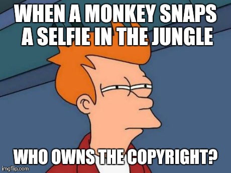 Monkey Business News | WHEN A MONKEY SNAPS A SELFIE IN THE JUNGLE WHO OWNS THE COPYRIGHT? | image tagged in memes,futurama fry | made w/ Imgflip meme maker