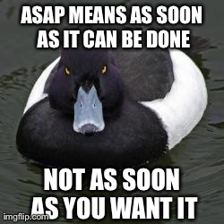 Angry Advice Mallard | ASAP MEANS AS SOON AS IT CAN BE DONE NOT AS SOON AS YOU WANT IT | image tagged in angry advice mallard | made w/ Imgflip meme maker