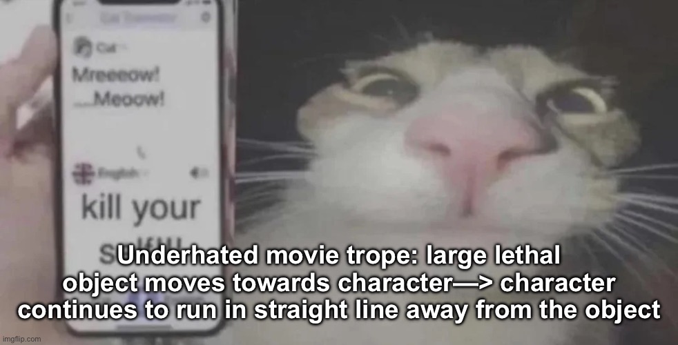 IMG_3538.webp | Underhated movie trope: large lethal object moves towards character—> character continues to run in straight line away from the object | image tagged in img_3538 webp | made w/ Imgflip meme maker