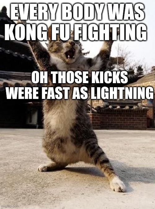 kung fu kitten | Every body was Kong fu fighting; Oh those kicks were fast as lightning | image tagged in kung fu kitten | made w/ Imgflip meme maker