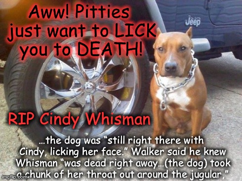 Aww! Pitties just want to Lick you to Death! | Aww! Pitties just want to LICK you to DEATH! RIP Cindy Whisman â€¦the dog was â€œstill right there with Cindy, licking her face.â€ Walker s | image tagged in pit bull,pitties lick you,pibble,wiggle butt,fatality,ohio | made w/ Imgflip meme maker