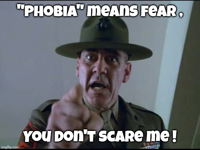 Play your word games with someone else | "Phobia" means fear , You don't scare me ! | image tagged in phobia,see nobody cares,flaunt it,free person,free yourself,labels | made w/ Imgflip meme maker