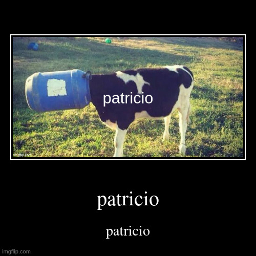 patricio | patricio | image tagged in funny,demotivationals | made w/ Imgflip demotivational maker