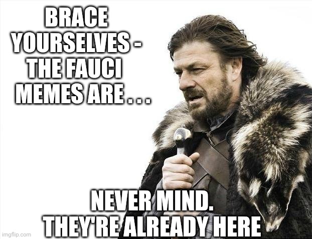 Too late | Brace yourselves -
The fauci 
   memes are . . . Never mind.
They're already here | image tagged in memes,brace yourselves x is coming,fauci,cv19 | made w/ Imgflip meme maker