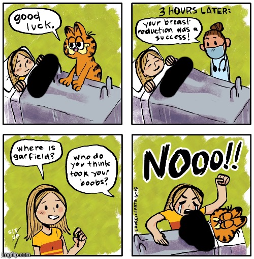 Fixed sexist garbage | image tagged in gfan lore | made w/ Imgflip meme maker