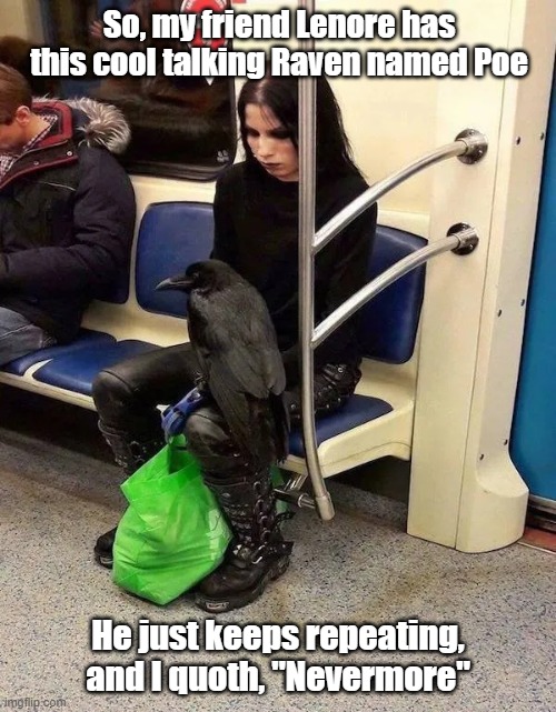 The Raven | So, my friend Lenore has this cool talking Raven named Poe; He just keeps repeating, and I quoth, "Nevermore" | image tagged in poetry,edgar allan poe,raven,nevermore | made w/ Imgflip meme maker