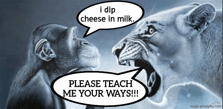 . | i dip cheese in milk. PLEASE TEACH ME YOUR WAYS!!! | image tagged in lion yell at lion that yells at lion,tiger yell at pondering monkey,shitpost | made w/ Imgflip meme maker