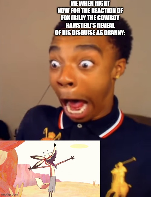 Flightreacts Scream | Me when right now for the reaction of Fox (Billy the Cowboy Hamster)'s reveal of his disguise as granny: | image tagged in flightreacts scream,meme,memes,billy the cowboy hamster,shitpost,reaction | made w/ Imgflip meme maker
