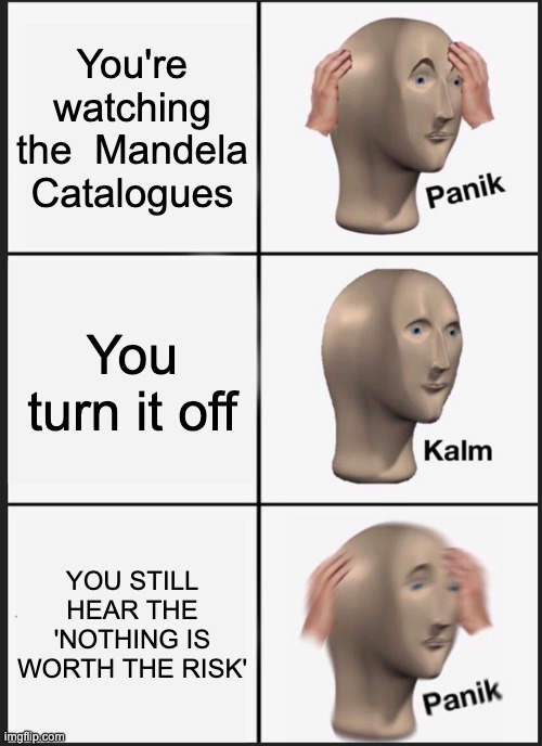 Nothing is worth the risk Nothing is worth the risk Nothing is worth the risk | You're watching the  Mandela Catalogues; You turn it off; YOU STILL HEAR THE 'NOTHING IS WORTH THE RISK' | image tagged in memes,panik kalm panik | made w/ Imgflip meme maker