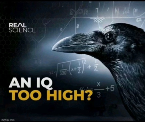 an iq too high? | image tagged in an iq too high | made w/ Imgflip meme maker
