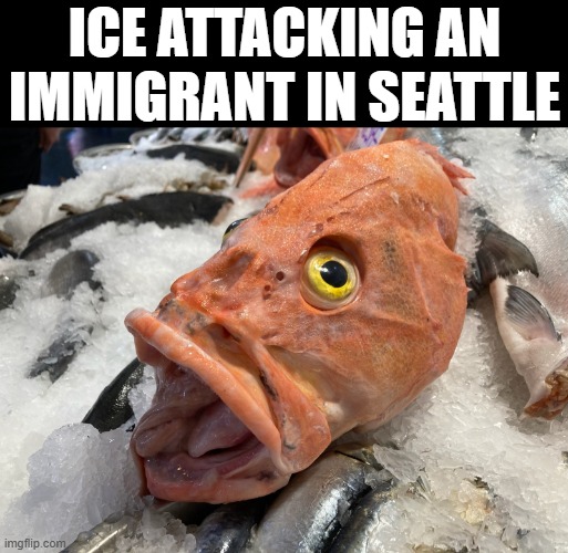 ice attacking an immigrant in seattle | made w/ Imgflip meme maker