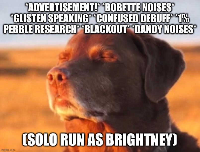 …what sees me? OH HELLO VEE- | *Advertisement!* *bobette noises* *glisten speaking* *confused debuff* *1% pebble research* *blackout* *dandy noises*; (Solo run as Brightney) | image tagged in dog accepting fate | made w/ Imgflip meme maker