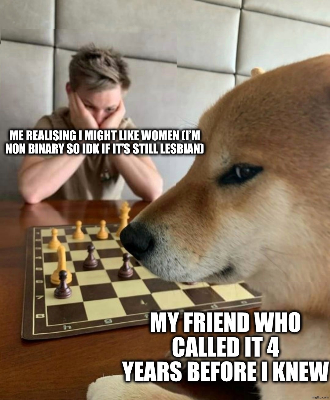 Is it still lesbian for a non binary who likes females??? Probably, I’m non binary leaning female. | Me realising I might like women (I’m non binary so Idk if it’s still lesbian); My friend who called it 4 years before I knew | image tagged in smug dog chess master,lgbtq,memes,stop reading the tags | made w/ Imgflip meme maker
