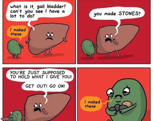 But he made them :,( | image tagged in comics,liver,gall bladder,stones | made w/ Imgflip meme maker