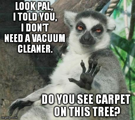 Stoner Lemur | LOOK PAL, I TOLD YOU, I DON'T NEED A VACUUM CLEANER. DO YOU SEE CARPET ON THIS TREE? | image tagged in memes,stoner lemur | made w/ Imgflip meme maker