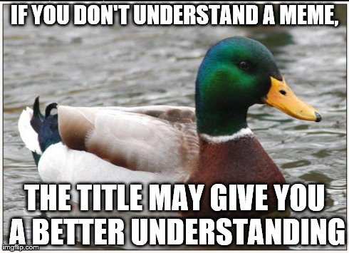 Tends to work, but doesn't always. | IF YOU DON'T UNDERSTAND A MEME, THE TITLE MAY GIVE YOU A BETTER UNDERSTANDING | image tagged in memes,actual advice mallard | made w/ Imgflip meme maker