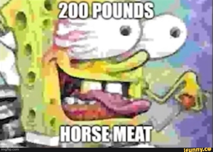 200 pounds horse meat | image tagged in 200 pounds horse meat,funny,shitpost,oh wow are you actually reading these tags | made w/ Imgflip meme maker