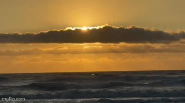 ay08ci.gif