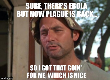 So I Got That Goin For Me Which Is Nice | SURE, THERE'S EBOLA BUT NOW PLAGUE IS BACK... SO I GOT THAT GOIN' FOR ME, WHICH IS NICE | image tagged in memes,so i got that goin for me which is nice | made w/ Imgflip meme maker