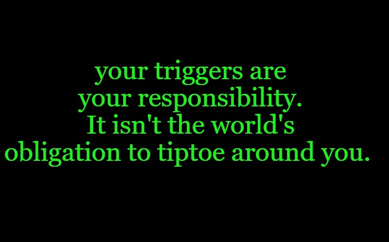 black screen | your triggers are your responsibility.
It isn't the world's obligation to tiptoe around you. | image tagged in black screen | made w/ Imgflip meme maker