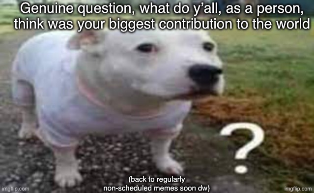 Mine was prob making like 2 ppl laugh or smth | Genuine question, what do y’all, as a person, think was your biggest contribution to the world; (back to regularly non-scheduled memes soon dw) | image tagged in dog question mark,remix | made w/ Imgflip meme maker