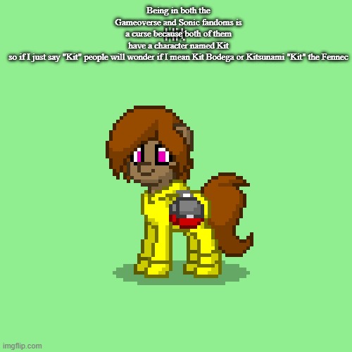 Kit in Pony Town (updated version) | Being in both the Gameoverse and Sonic fandoms is a curse because both of them have a character named Kit so if I just say "Kit" people will wonder if I mean Kit Bodega or Kitsunami "Kit" the Fennec | image tagged in kit in pony town updated version | made w/ Imgflip meme maker