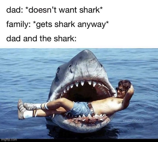 Shark | image tagged in img_4920 jpeg,dad,shark,pets | made w/ Imgflip meme maker