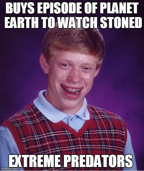 Bad Luck Brian Meme | BUYS EPISODE OF PLANET EARTH TO WATCH STONED EXTREME PREDATORS | image tagged in memes,bad luck brian,AdviceAnimals | made w/ Imgflip meme maker