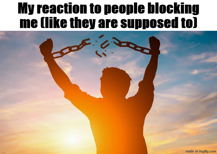 Any site that allows people to block others | My reaction to people blocking me (like they are supposed to) | image tagged in breaking chains | made w/ Imgflip meme maker