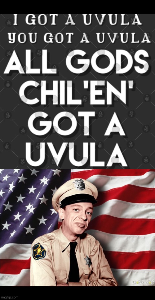image tagged in img_8146 jpeg | made w/ Imgflip meme maker