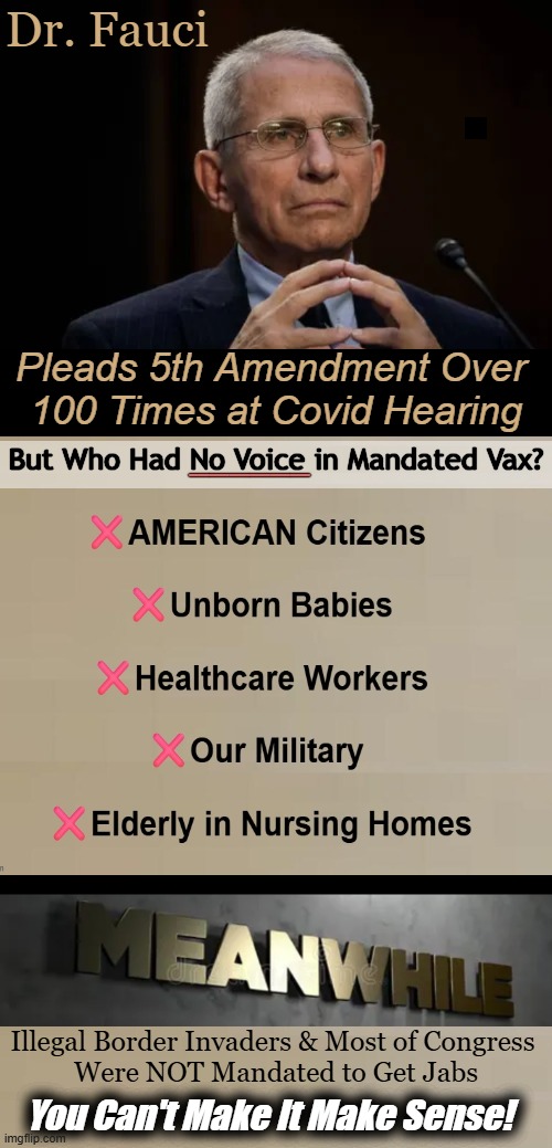 This Wicked Weasel Was Responsible for Countless Deaths Worldwide | Dr. Fauci; ❌AMERICAN Citizens 
             ❌Unborn Babies
                   ❌Healthcare Workers
          ❌Our Military 
                                  ❌Elderly in Nursing Homes; Pleads 5th Amendment Over 
100 Times at Covid Hearing; But Who Had No Voice in Mandated Vax? ______; Illegal Border Invaders & Most of Congress 
Were NOT Mandated to Get Jabs; You Can't Make It Make Sense! | image tagged in dr fauci,weasel,americans,illegals,double standards,plandemic | made w/ Imgflip meme maker