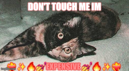 images (58).jpeg | Don't touch me im; ❤️‍🔥✨️🔥💅expensive 💅🔥✨️❤️‍🔥 | image tagged in images 58 jpeg | made w/ Imgflip meme maker