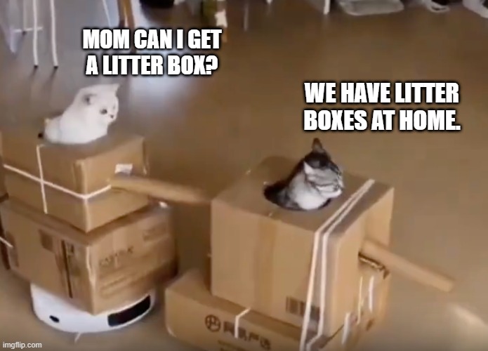 Tank cats | mom can i get
a litter box? we have litter boxes at home. | image tagged in tank cats | made w/ Imgflip meme maker
