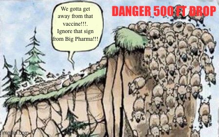 Average anti vaccine situation | DANGER 500 ft drop; We gotta get away from that vaccine!!!. Ignore that sign from Big Pharma!!! | image tagged in sheep running off a cliff | made w/ Imgflip meme maker