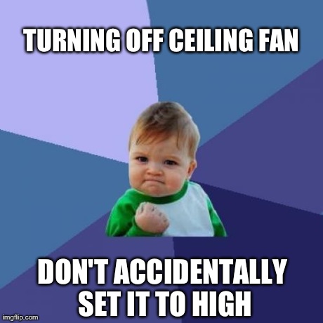 Success Kid Meme | TURNING OFF CEILING FAN DON'T ACCIDENTALLY SET IT TO HIGH | image tagged in memes,success kid,AdviceAnimals | made w/ Imgflip meme maker