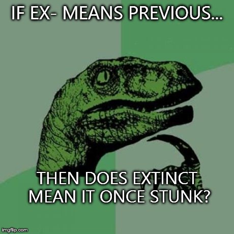 Philosoraptor | IF EX- MEANS PREVIOUS... THEN DOES EXTINCT MEAN IT ONCE STUNK? | image tagged in memes,philosoraptor | made w/ Imgflip meme maker
