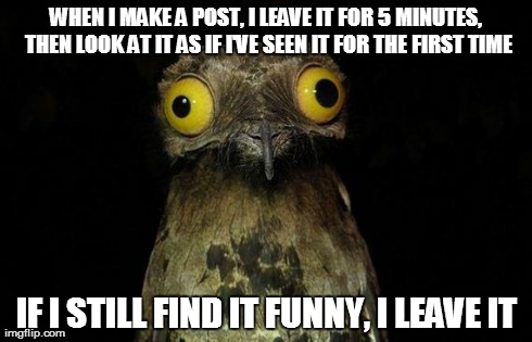 Weird Stuff I Do Potoo | WHEN I MAKE A POST, I LEAVE IT FOR 5 MINUTES, THEN LOOK AT IT AS IF I'VE SEEN IT FOR THE FIRST TIME IF I STILL FIND IT FUNNY, I LEAVE IT | image tagged in memes,weird stuff i do potoo | made w/ Imgflip meme maker