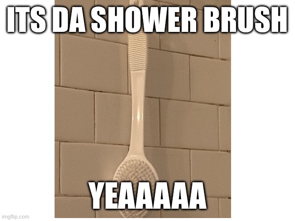 Brush | ITS DA SHOWER BRUSH; YEAAAAA | image tagged in memes | made w/ Imgflip meme maker
