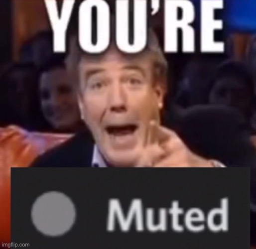 I’m just posting random stuff now | image tagged in you re muted | made w/ Imgflip meme maker