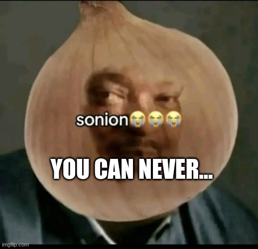 sonion | you can never... | image tagged in sonion | made w/ Imgflip meme maker