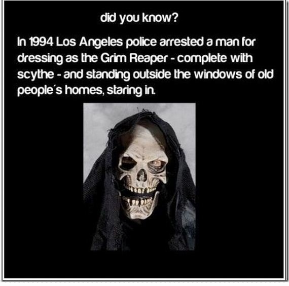 image tagged in funny