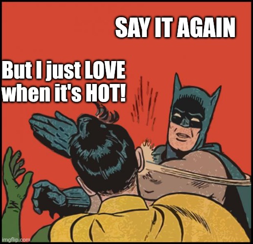 It's too damn hot | Say it again; But I just LOVE 
when it's HOT! | image tagged in too damn hot,i'm ready for fall,it's too hot | made w/ Imgflip meme maker