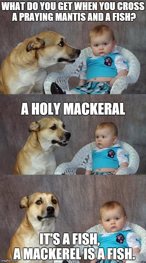Dad joke dog explains it all again . . . | WHAT DO YOU GET WHEN YOU CROSS A PRAYING MANTIS AND A FISH? IT'S A FISH,    A MACKEREL IS A FISH. A HOLY MACKERAL | image tagged in memes,dad joke dog | made w/ Imgflip meme maker
